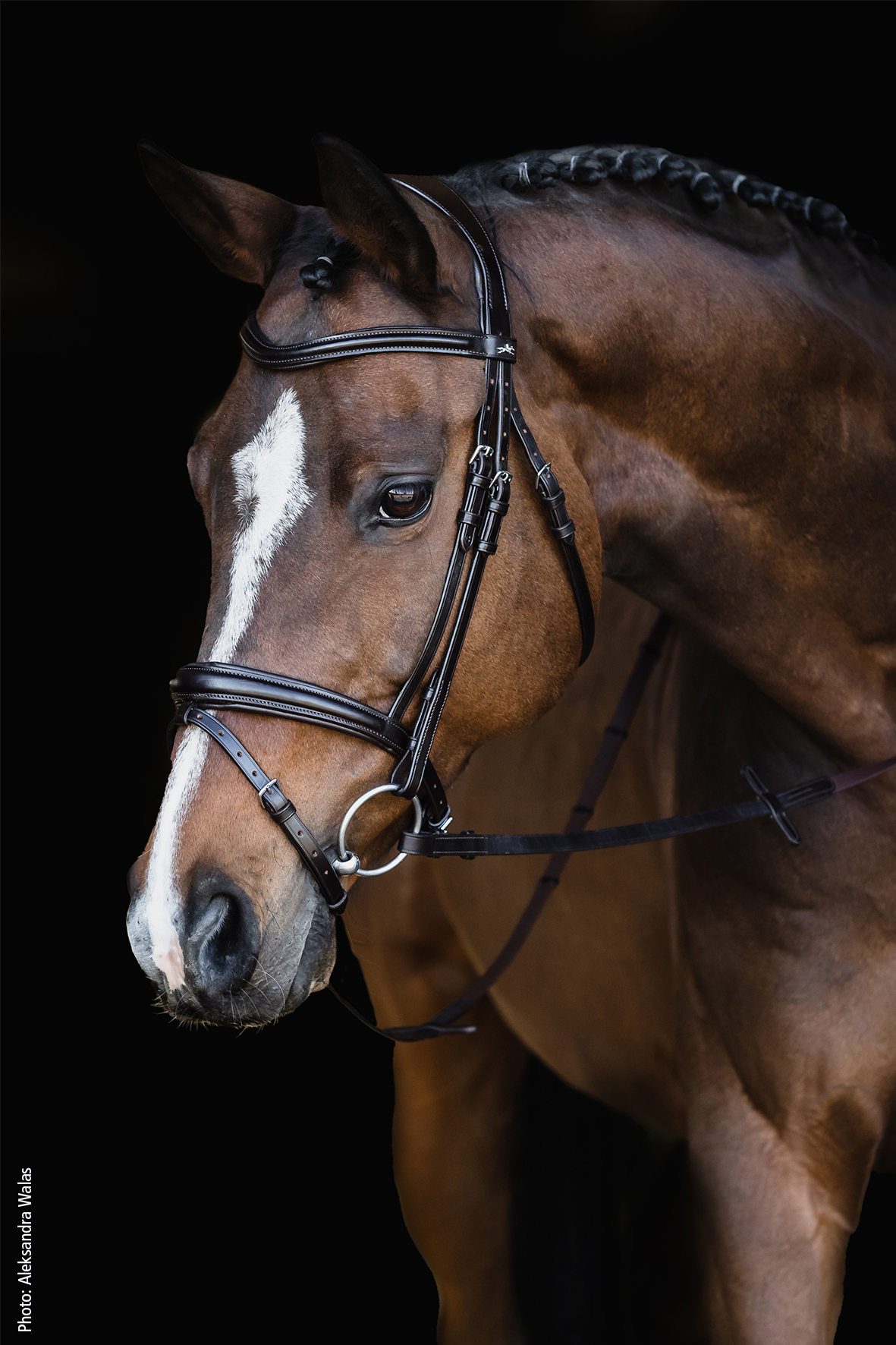 Monza Träns - Bild 4