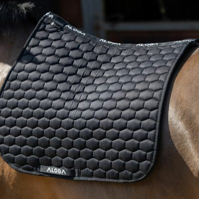 Schabrack hopp Aloga Equestrian