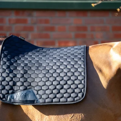 Schabrack dressyr Aloga Equestrian